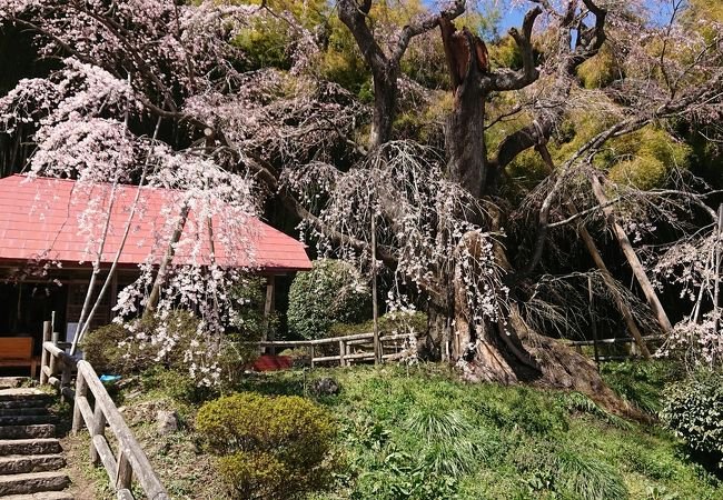 🏯 설촌암 (셋손안) 이미지 1